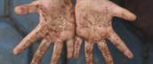 bacterie-n-onmisbaar-600px