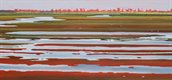 nat-weiland-rood-groen