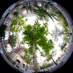 klimaatarboretum