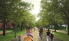 Afbeelding bomen in de stad