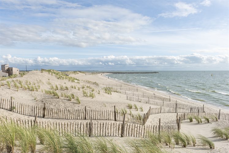 Marker Wadden