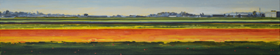 Bollenveld bij Lisse 35 x 140 cm