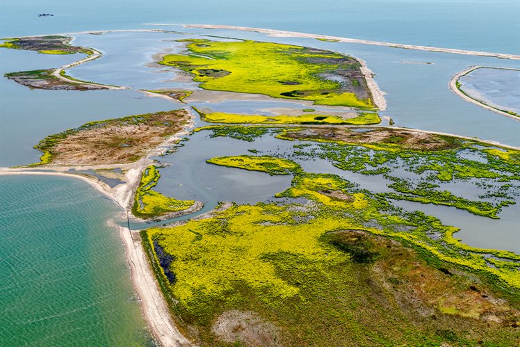 Marker Wadden