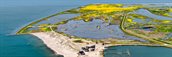 Marker Wadden