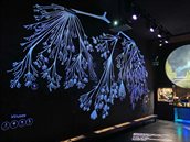 Micropia Levensboom
