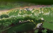 Biofilms 800px