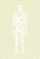 Mens 800px