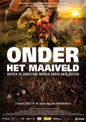 Onder het maaiveld 800px