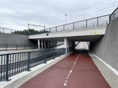 Vijfeikentunnel Rijen 1 800px