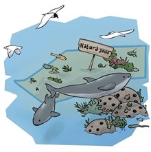 natuurREV1