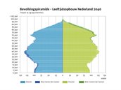 Bevolkingspiramide 2040 800x600px